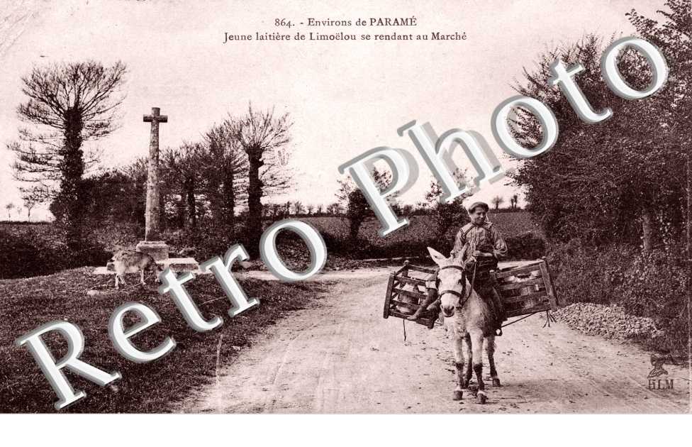 jeune laitiere de Limoëlou se rendant au marche