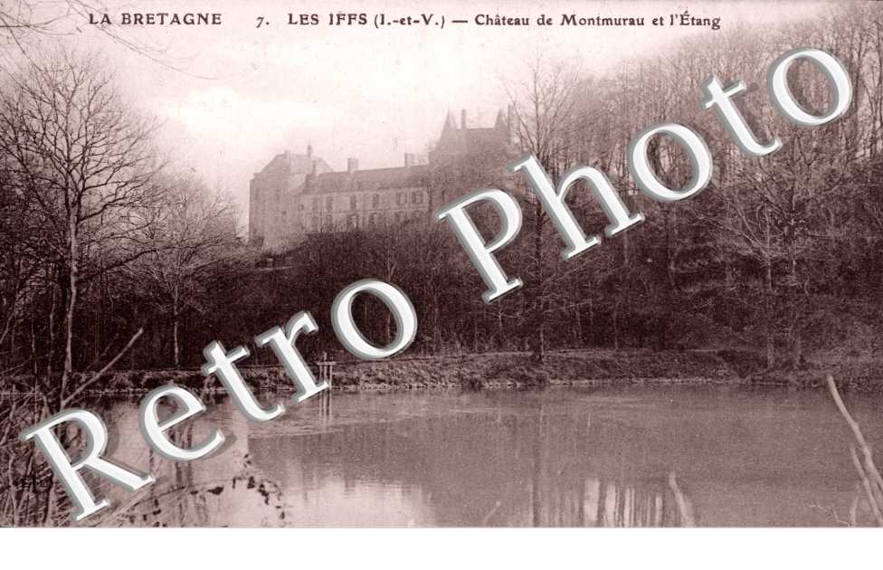 Chateau de Montmuran et l&#039;Etang