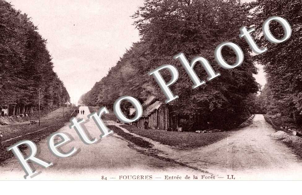 entree de la foret