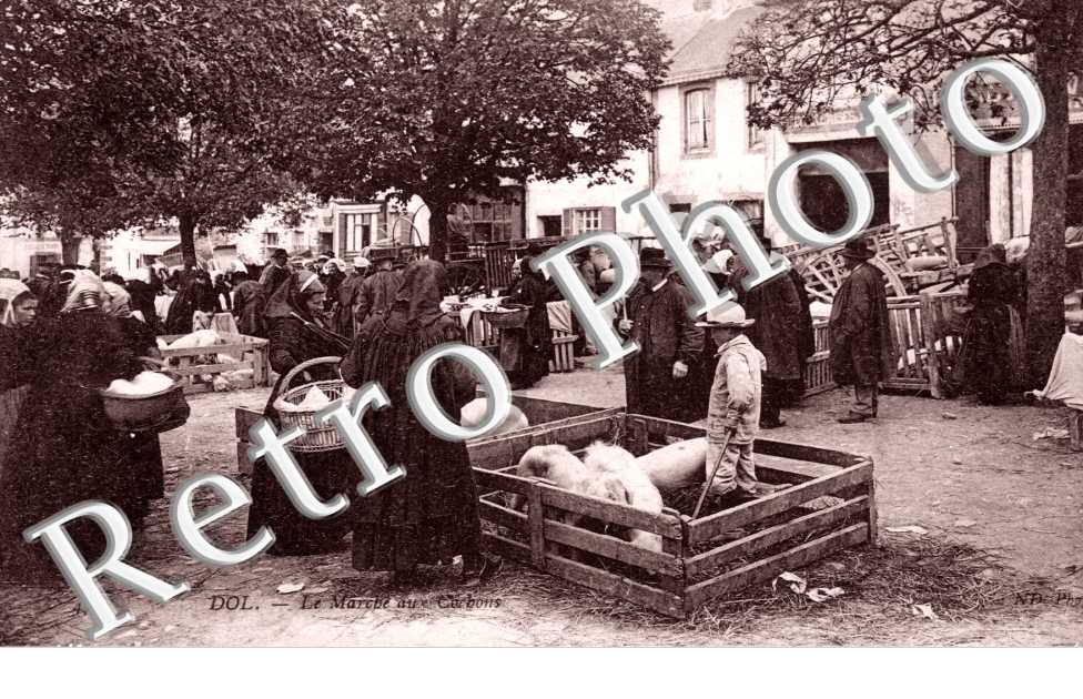 la Marche aux Cochons
