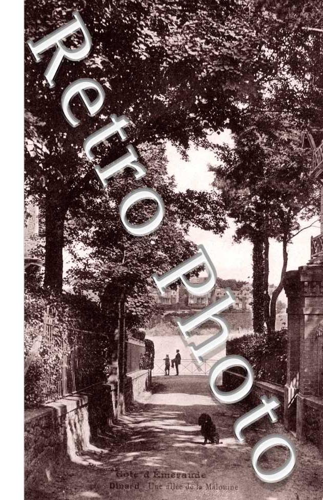 Une allee de la Maloune