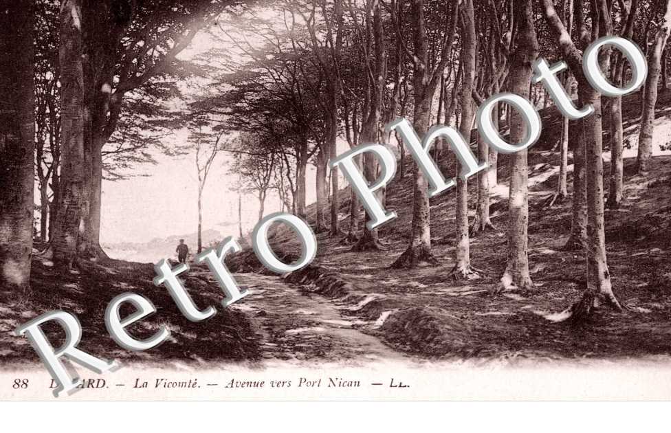 La Vicomte - Avenue vers Port Nican