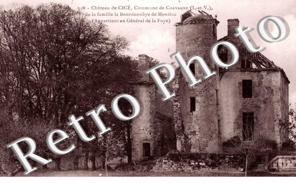Le Chateau de Cice de la famille la Bourdonnaye de  Montluc