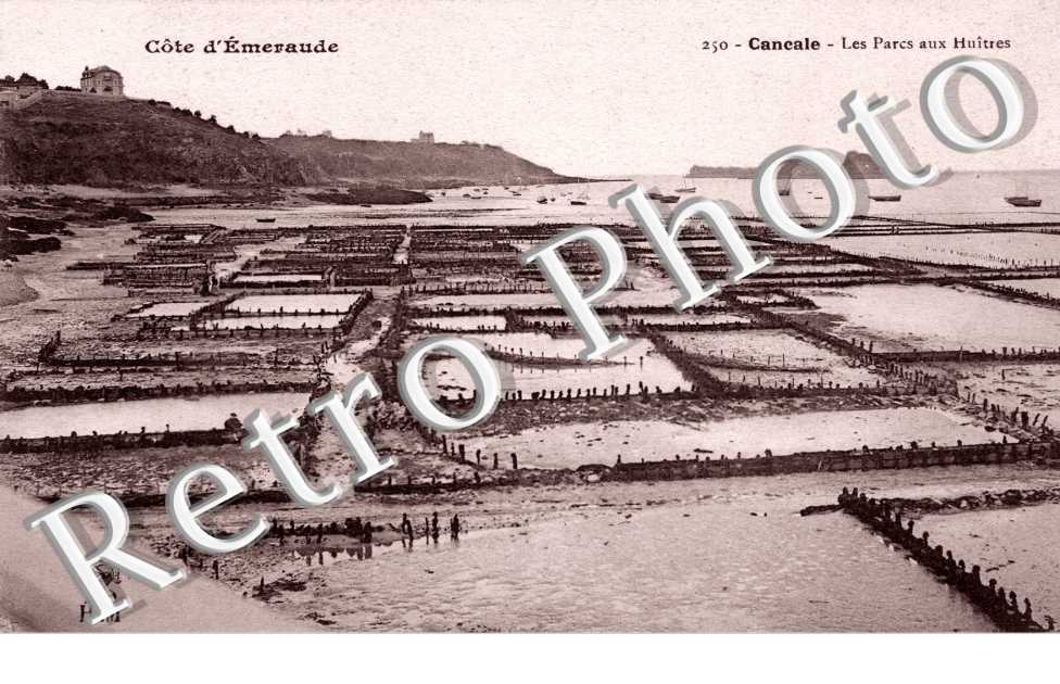 Les Parcs aux Huitres