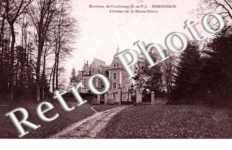 Chateau de la Haute Dibois