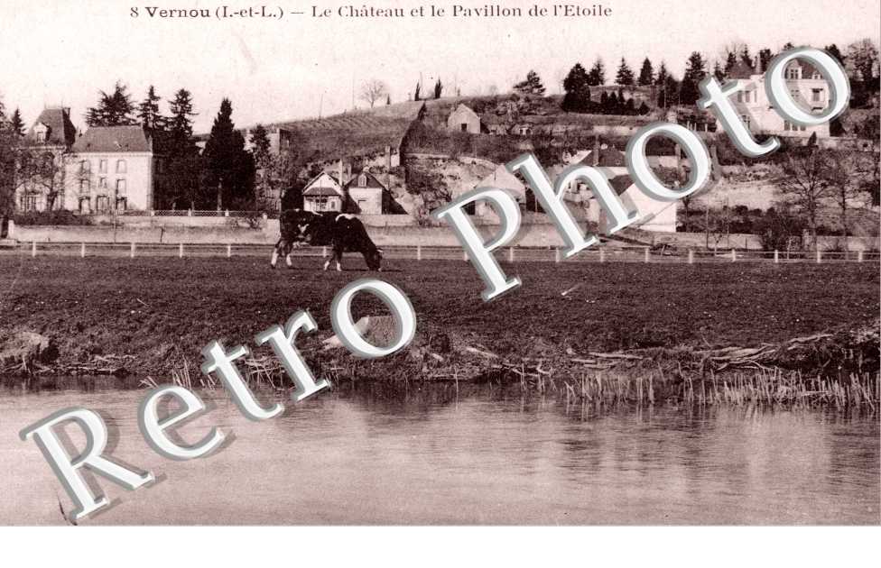 Le Chateau et le Pavillon de l'Etoile