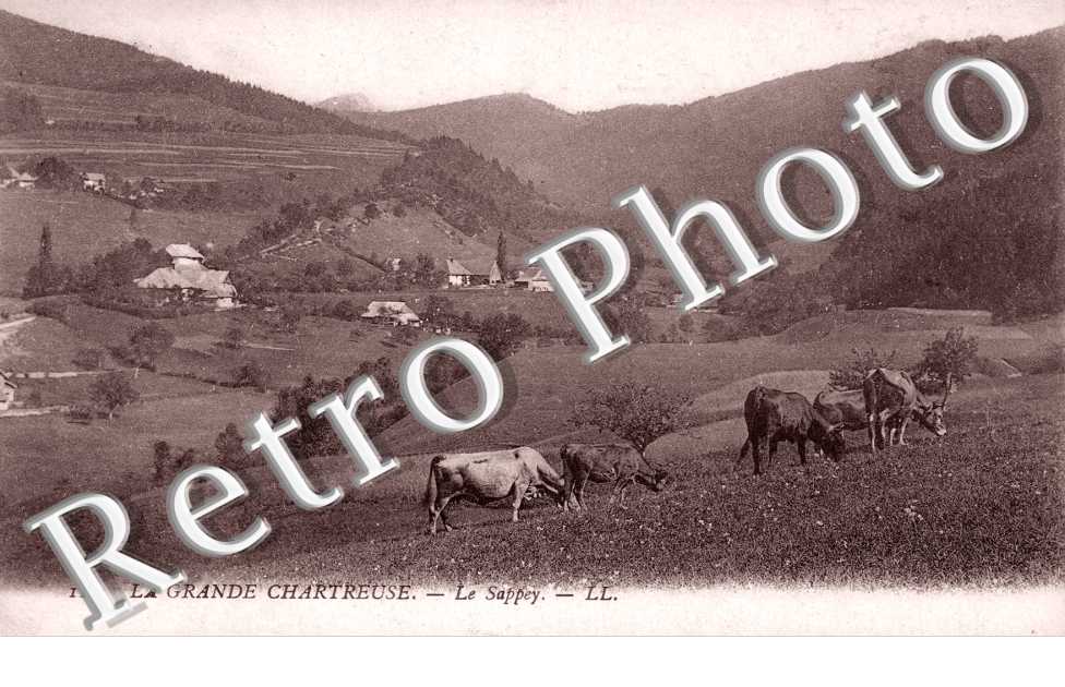 vue générale