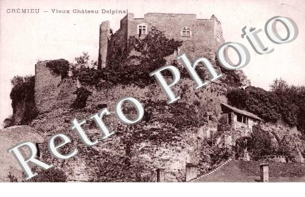 Chateau delphinal
