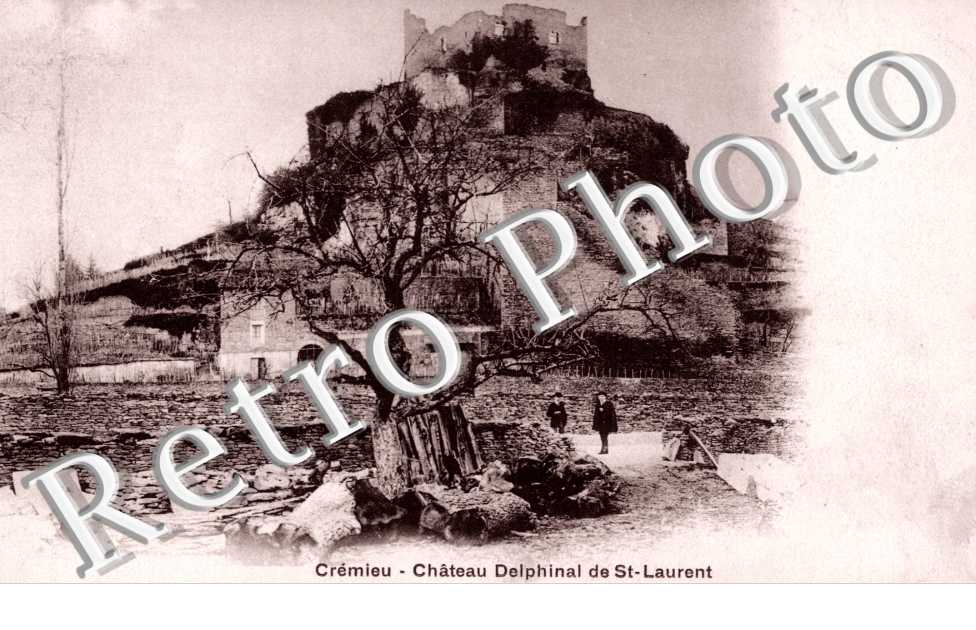 Chateau Delphinal de St Laurent