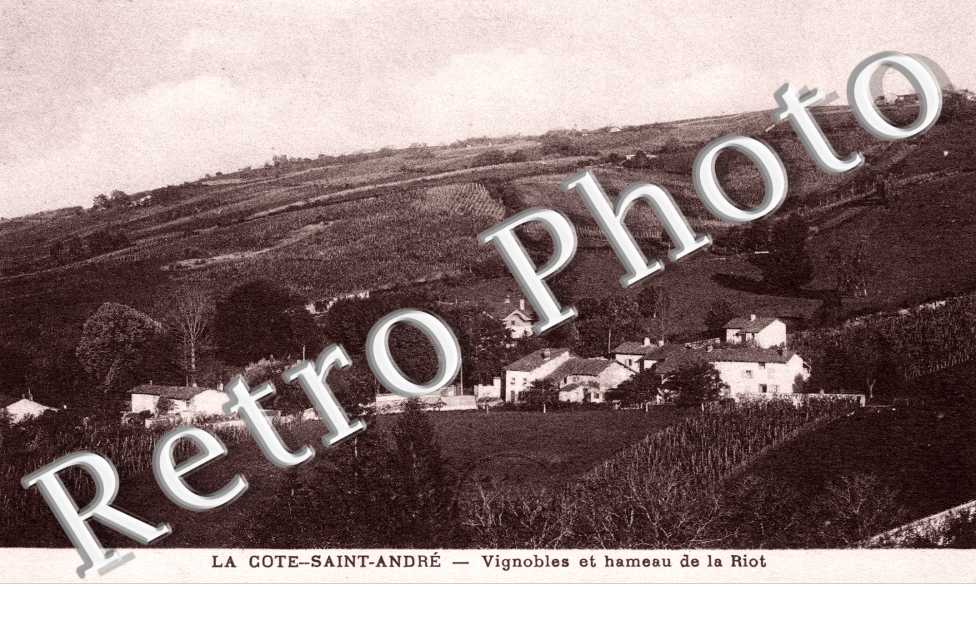 Vignobles et hameau de la Riot
