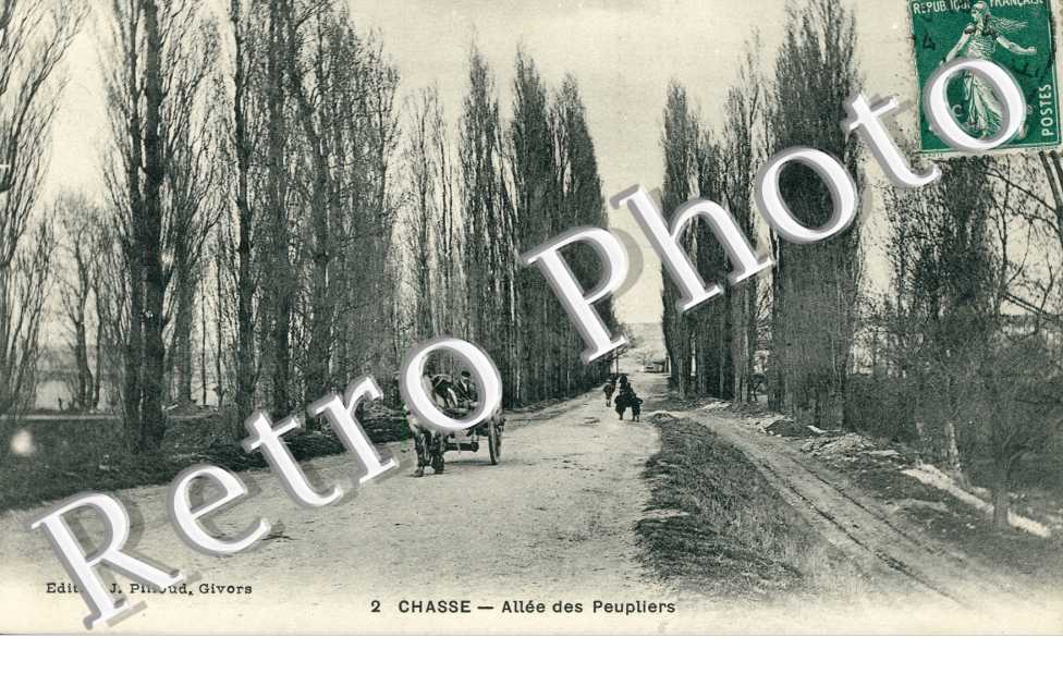 allee des peupliers