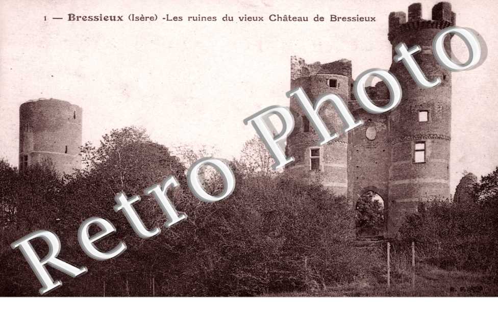 Ruines du Chateau