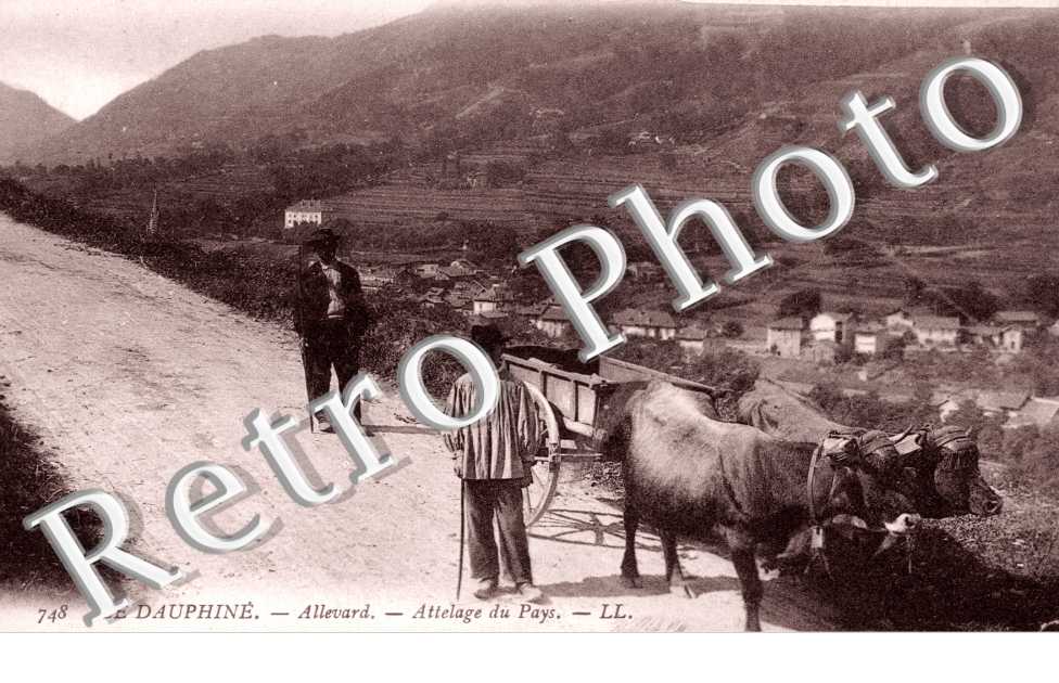 attelage du pays