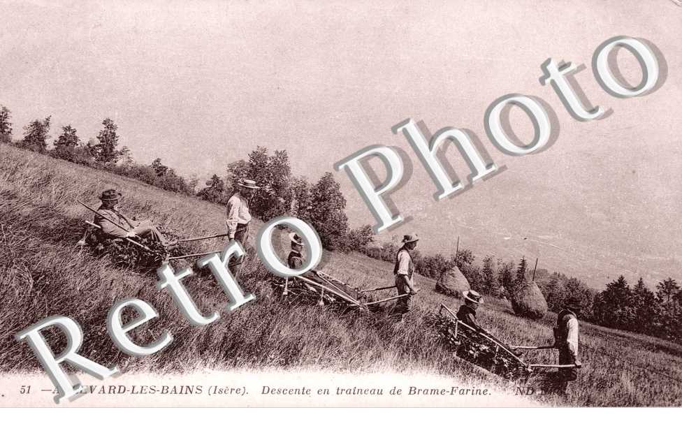 descente en traineau de Brame Farine