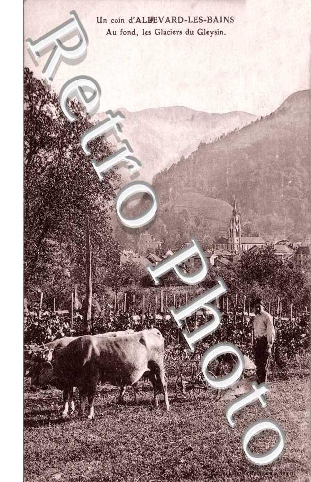 Vue generale et les Glaciers du Gleysin