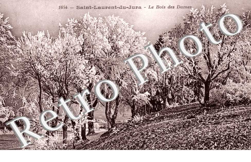 le Bois des Dames