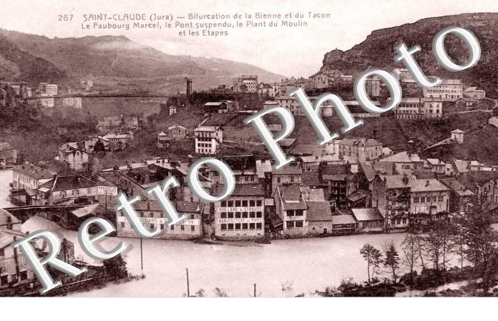 Bifurcation de la Bienne et du Tacon, le Faubourg Marcel, le Pont suspendu