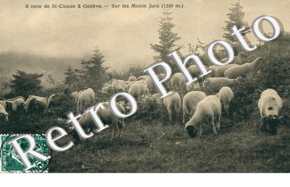 Sur les hauts plateaux du Jura