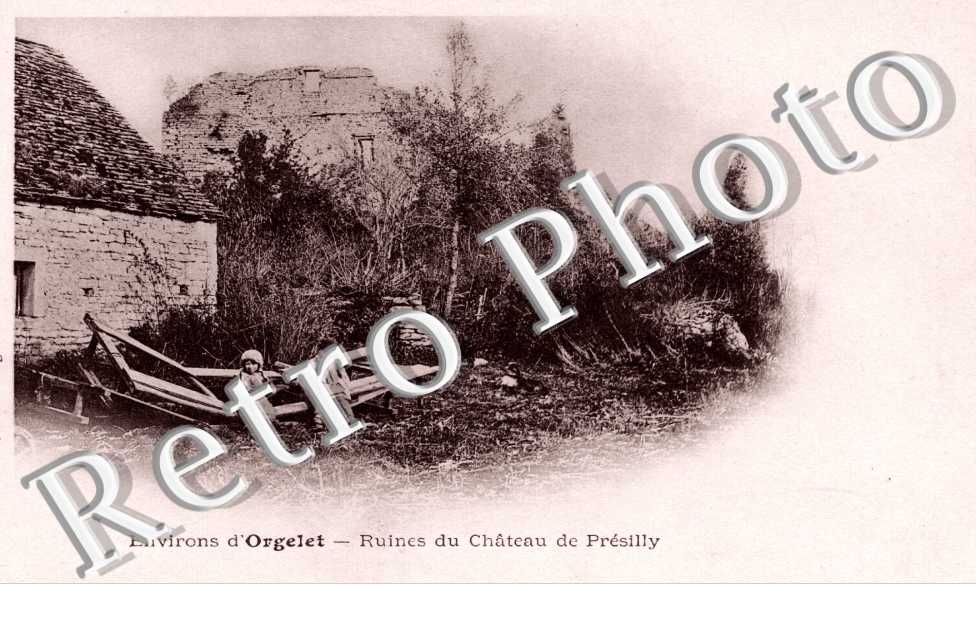 ruines du chateau de presilly