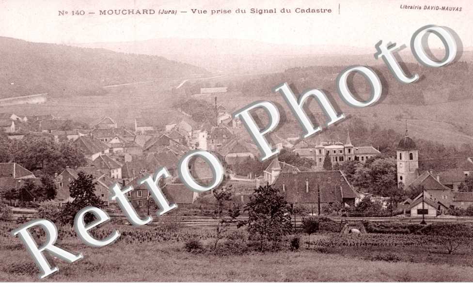 Vue prise du Signal du Cadastre