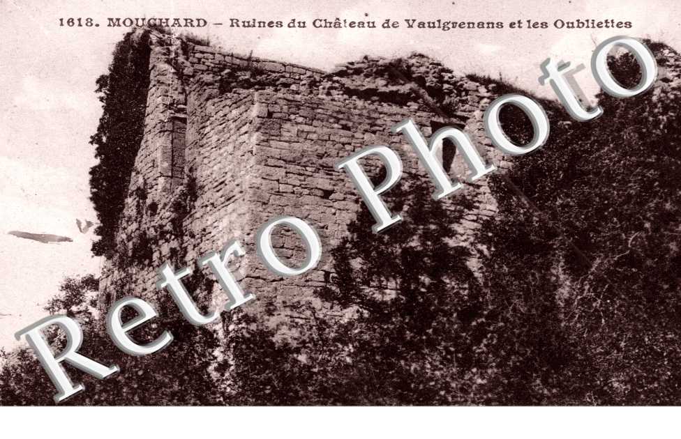 ruines du Chateau de Valgrenans et les Oubliettes
