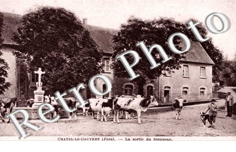 Chatel le Couvent, la sortie du troupeau