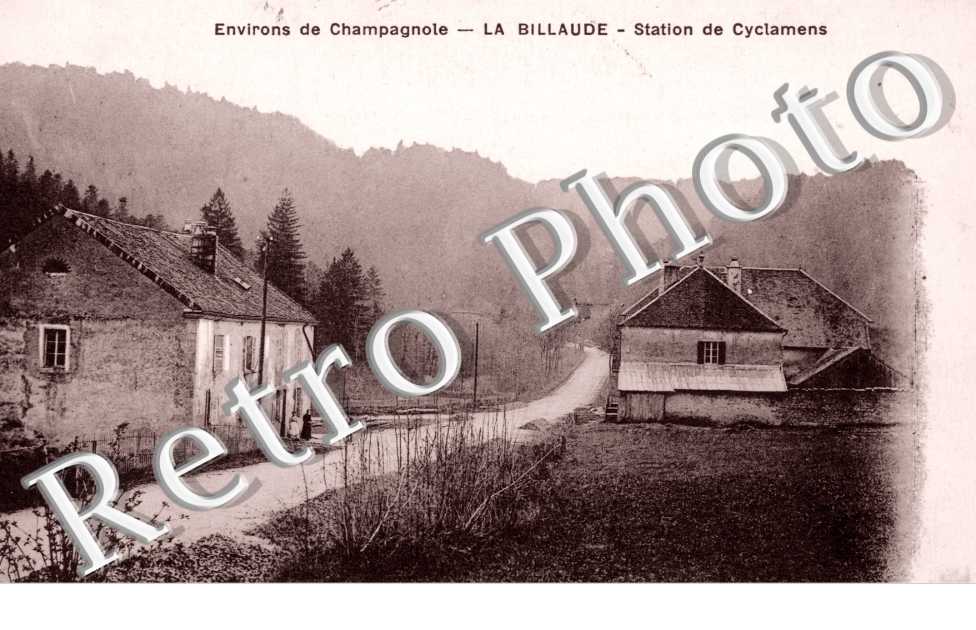 La Billaude, Station de Cyclamens
