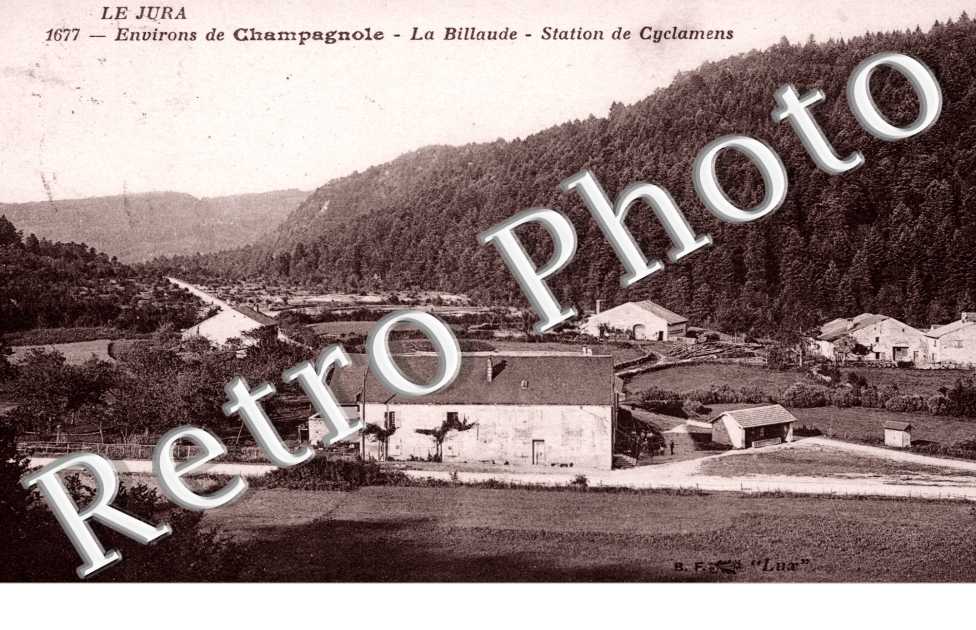 La Billaude, Station de Cyclamens
