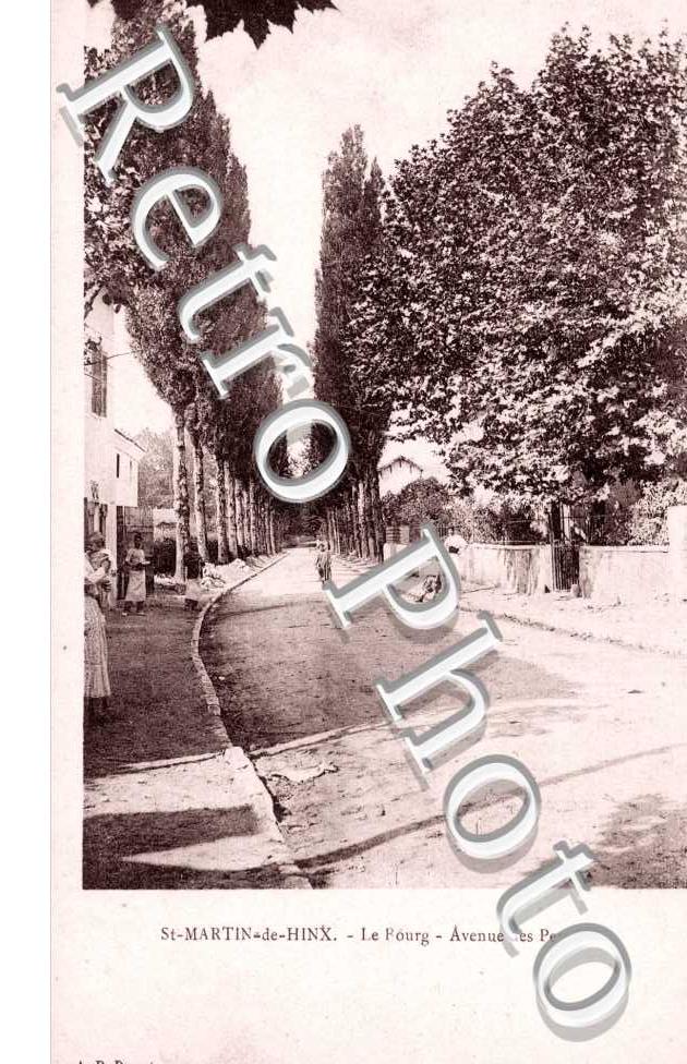 Avenue des peupliers - le bourg