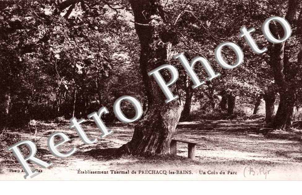 Un coin du parc - etablissement thermal
