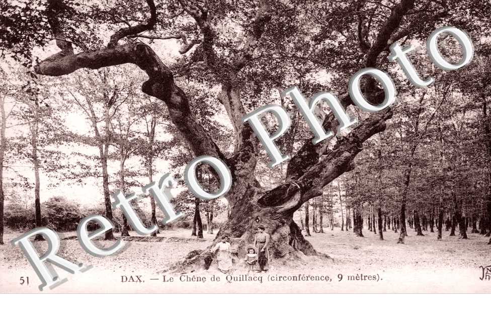 Le Chene de Quillacq
