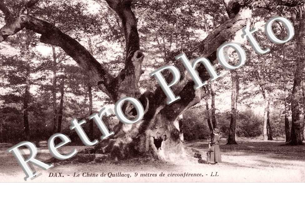 le Chena de Quillacq