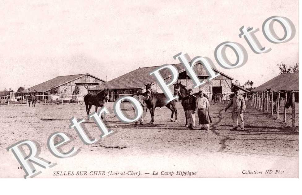 le Camp Hippique
