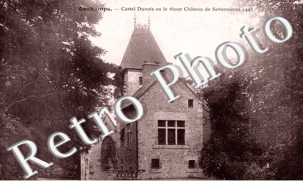Vieux Chateau de Savonnieres