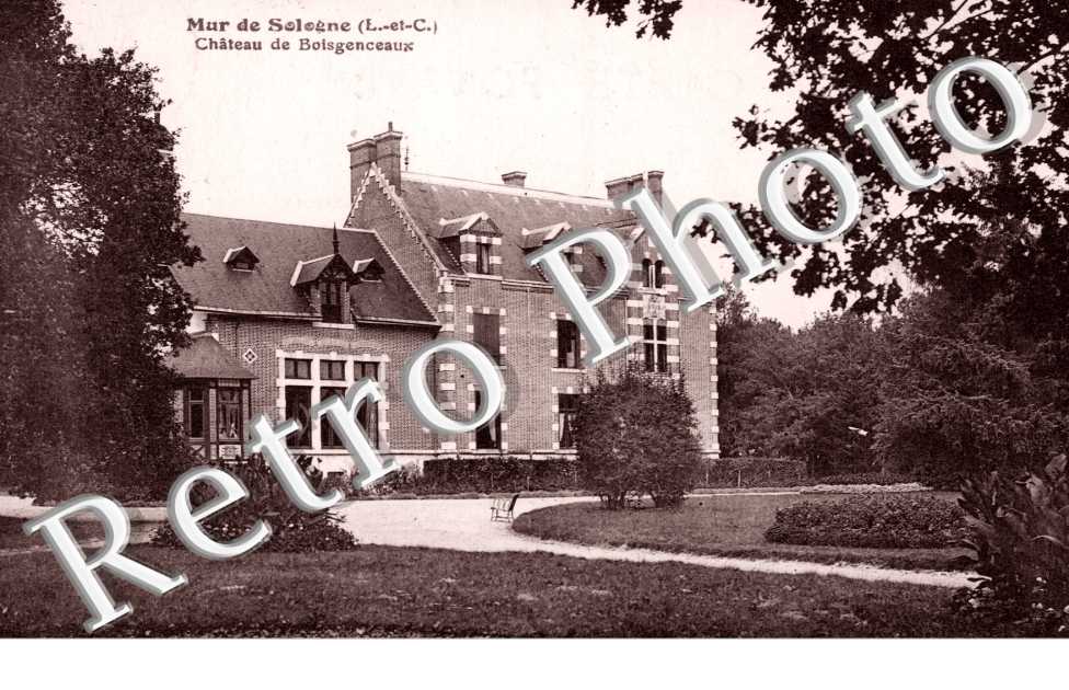 chateau de Boisgenceaux