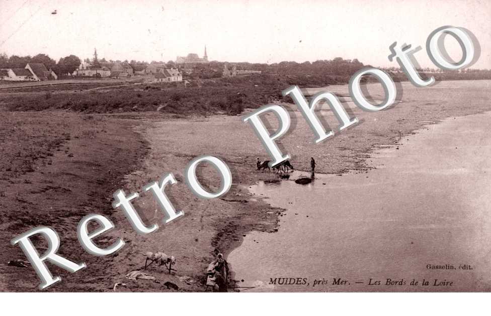 les bords de la Loire