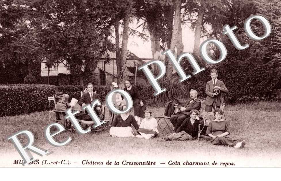 Chateau de la Cressonniere