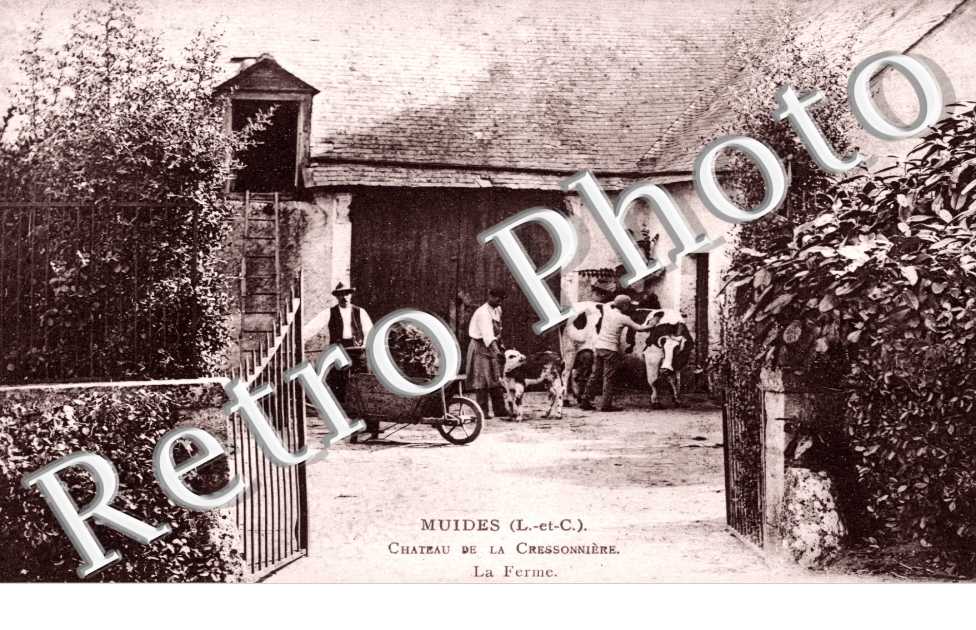 Chateau de la Cressonniere, la Ferme