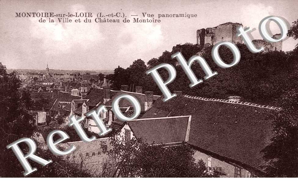 Vue Panoramique de la Ville et du Chateau de Montoire