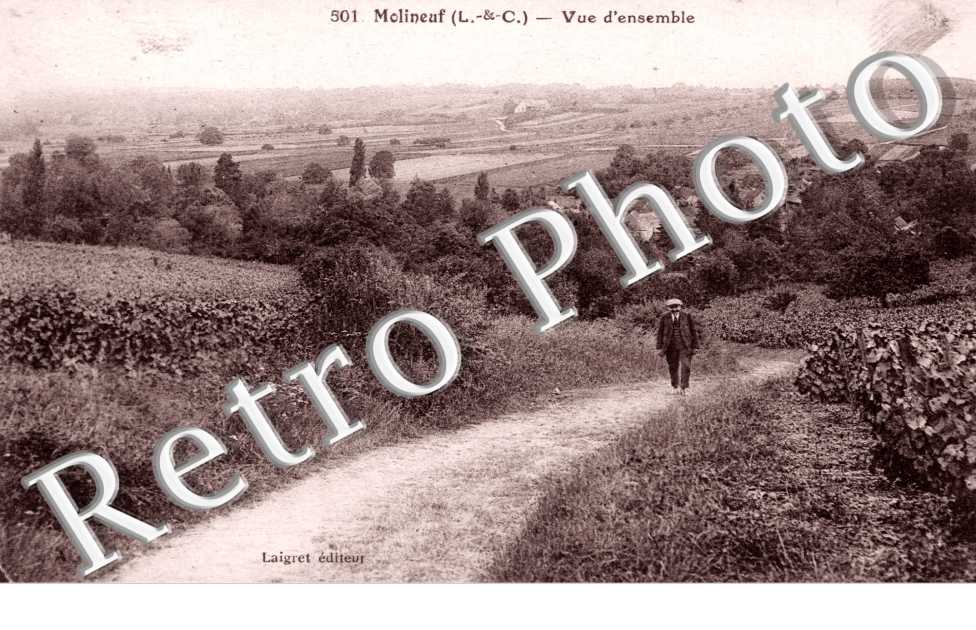 Vue d&#039;ensemble