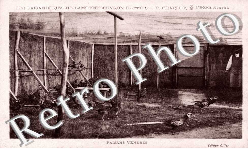 Les Faisanderies