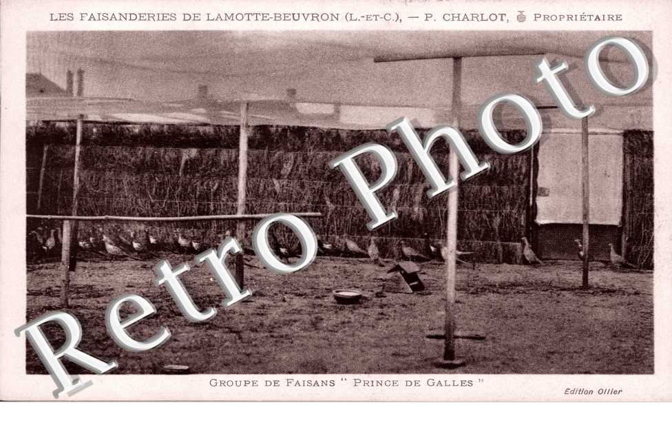Les Faisanderies
