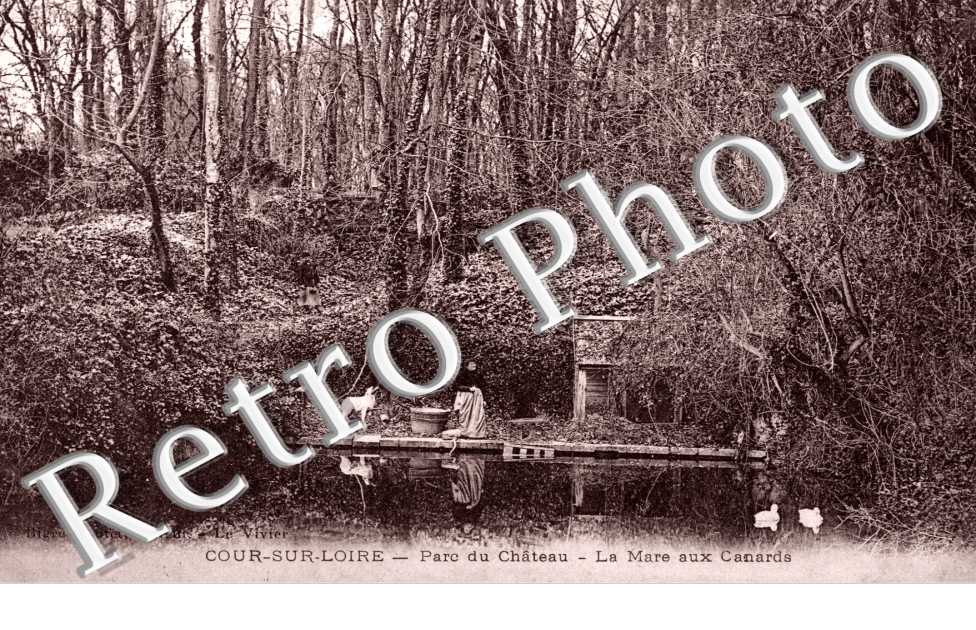 Parc du Chateau, Mare aux Canards