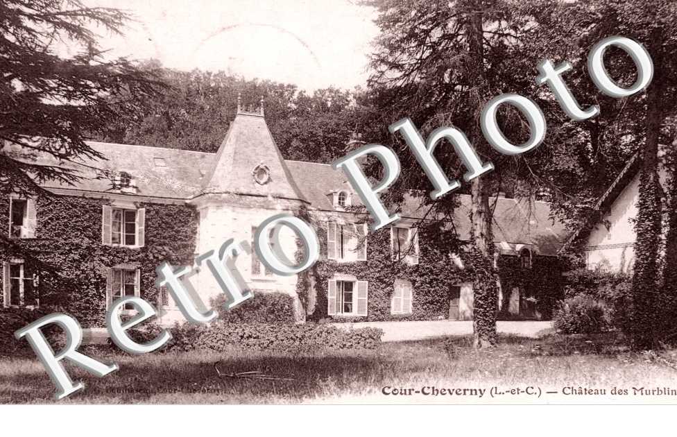 Chateau des Murblins