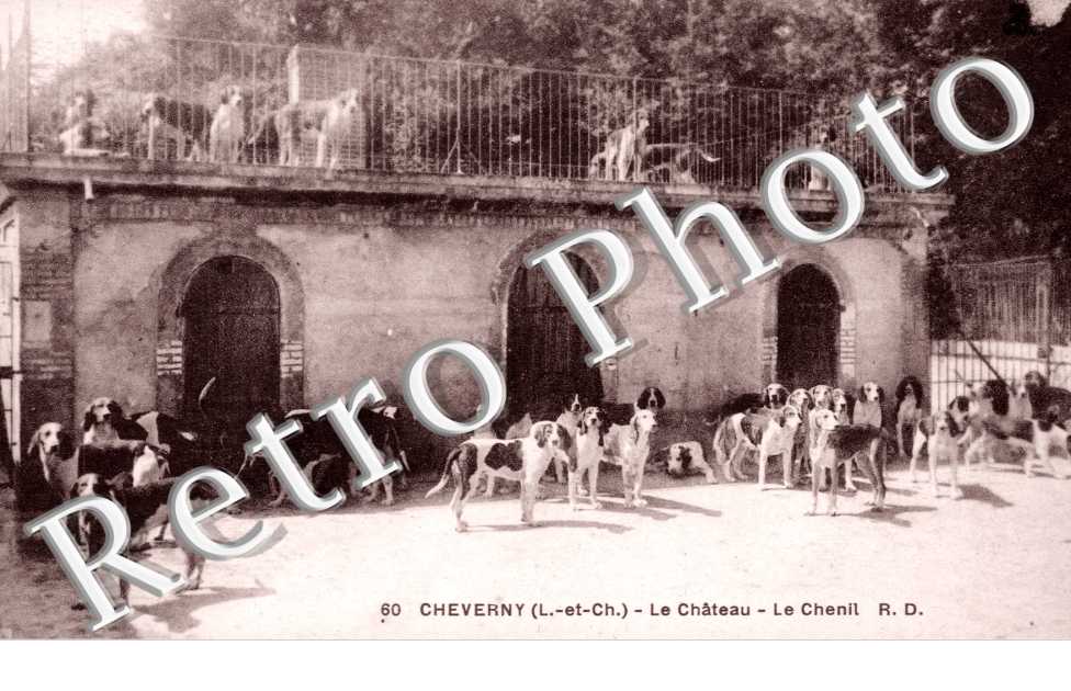 le chateau -  le chenil