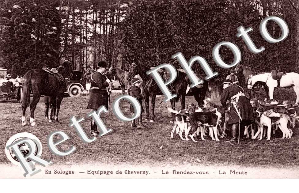 equipage de cheverny, le rendez vous, la meute