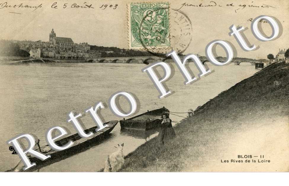 Les rives de la Loire