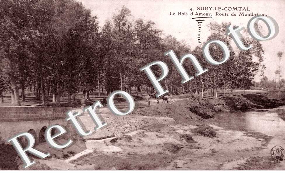 Route de Montbrison, le Bois d&#039;Amour