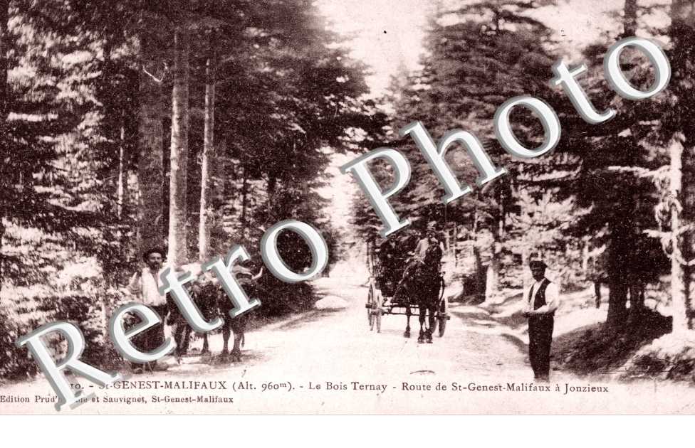 Le Bois Ternay