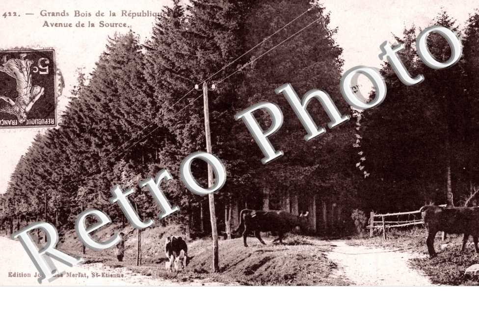 Grands Bois de la Republique, Avenue de la Source